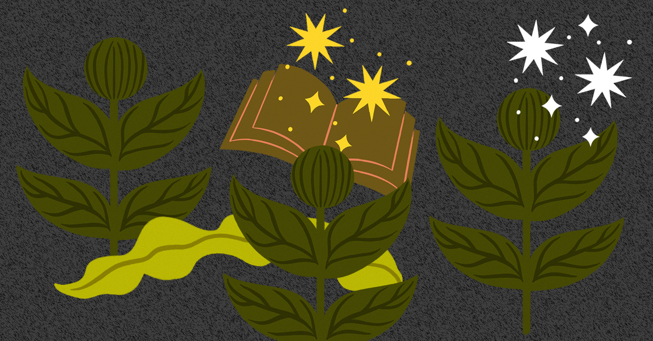 Una ilustración muestra tres plantas: sobre la del centro hay un libro abierto y varias estrellas. 